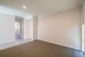 Property photo of 91 Wollombi Avenue Ormeau Hills QLD 4208