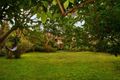 Property photo of 8 Powell Street Killara NSW 2071