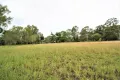 Property photo of 31 Currawong Road Gooburrum QLD 4670