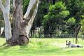 Property photo of 914 Highland Way Tallong NSW 2579