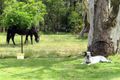 Property photo of 914 Highland Way Tallong NSW 2579