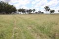 Property photo of 317 Schroders Road Tenterfield NSW 2372