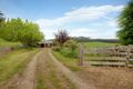 Property photo of 273 Coxs Road Red Hills TAS 7304