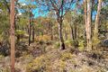 Property photo of 35 Swallow Lane Chittering WA 6084