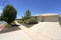 Property photo of 98 Refshauge Crescent Macgregor ACT 2615