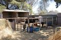 Property photo of 74 Hayman Road Two Wells SA 5501