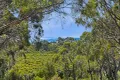 Property photo of 24 Jeanneret Crescent Binalong Bay TAS 7216