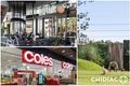 Property photo of 704/49 Hill Road Wentworth Point NSW 2127