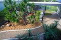 Property photo of 8 Seventh Avenue Palm Beach QLD 4221