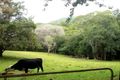 Property photo of 6 Outlook Crescent Kuranda QLD 4881