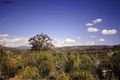 Property photo of 18 Constellation Crescent Mudgeeraba QLD 4213