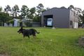 Property photo of 15 Bunya Road Bridges QLD 4561