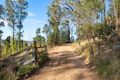 Property photo of LOT 22 Barrabaroo Road Cobargo NSW 2550