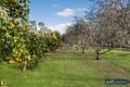 Property photo of 41 Browns Lane Pyalong VIC 3521