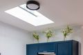 Property photo of 56 Macdonald Street Erskineville NSW 2043