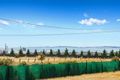 Property photo of 1 Cuddihy Court Lovely Banks VIC 3213