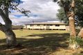 Property photo of 53 Jabiru Street Quilpie QLD 4480