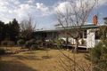 Property photo of 43 Cowper Street Coonabarabran NSW 2357