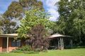 Property photo of 58 Gavan Street Bright VIC 3741