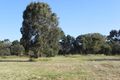 Property photo of 19 Nicholas Road Wanneroo WA 6065