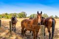 Property photo of 2/154 Utley Road Serpentine WA 6125