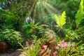 Property photo of 14 Glencoe Crescent Tiwi NT 0810