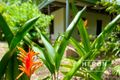 Property photo of 14 Glencoe Crescent Tiwi NT 0810