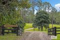 Property photo of 328 Back Creek Road Back Creek NSW 2484