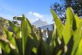 Property photo of 17 Gumtree Court Nunderi NSW 2484