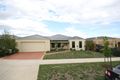 Property photo of 8 Tierney Court Highton VIC 3216