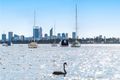 Property photo of 2/14 Ogilvie Road Mount Pleasant WA 6153