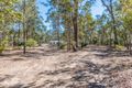 Property photo of 31 Avondale Road Avondale QLD 4670