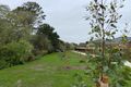 Property photo of 15 Darraweit Road Wallan VIC 3756