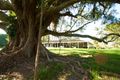 Property photo of 219 Old Byron Bay Road Newrybar NSW 2479
