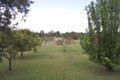 Property photo of 20 Strongs Road Fairy Hill NSW 2470