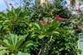 Property photo of 7/84 Caringbah Road Caringbah South NSW 2229