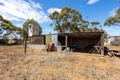 Property photo of 14 Third Street Lipson SA 5607