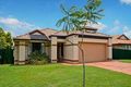 Property photo of 38 Sunflower Crescent Calamvale QLD 4116