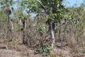 Property photo of 55 Milne Road Bynoe NT 0822