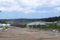 Property photo of 7 Chinaberry Crescent Upper Coomera QLD 4209