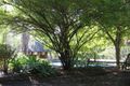 Property photo of 15 Rita Court Bellbird Park QLD 4300