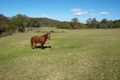 Property photo of 555 Beaudesert-Beenleigh Road Wolffdene QLD 4207
