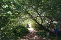 Property photo of 63 Beaufort Road Yakamia WA 6330