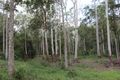 Property photo of 247 Gardner Road North Deep Creek QLD 4570