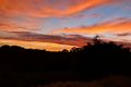 Property photo of 64 Sheehan Road Tarzali QLD 4885
