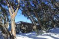 Property photo of 5/146 Standard Lane Mount Buller VIC 3723