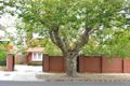 Property photo of 384 Dandenong Road Caulfield North VIC 3161