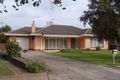 Property photo of 33 Bray Avenue Klemzig SA 5087