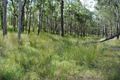 Property photo of 3505 Mary Valley Road Brooloo QLD 4570