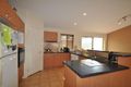 Property photo of 30 Lyrebird Street Loganlea QLD 4131